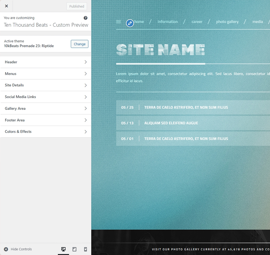 main-customizer